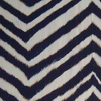 zebra-wallpaper